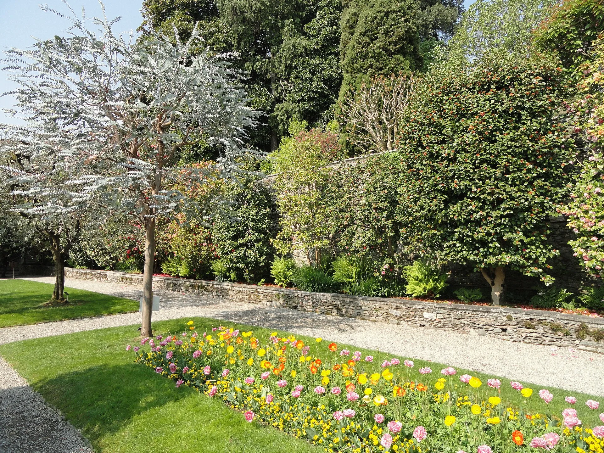 Isola Madre : le jardin botanique
